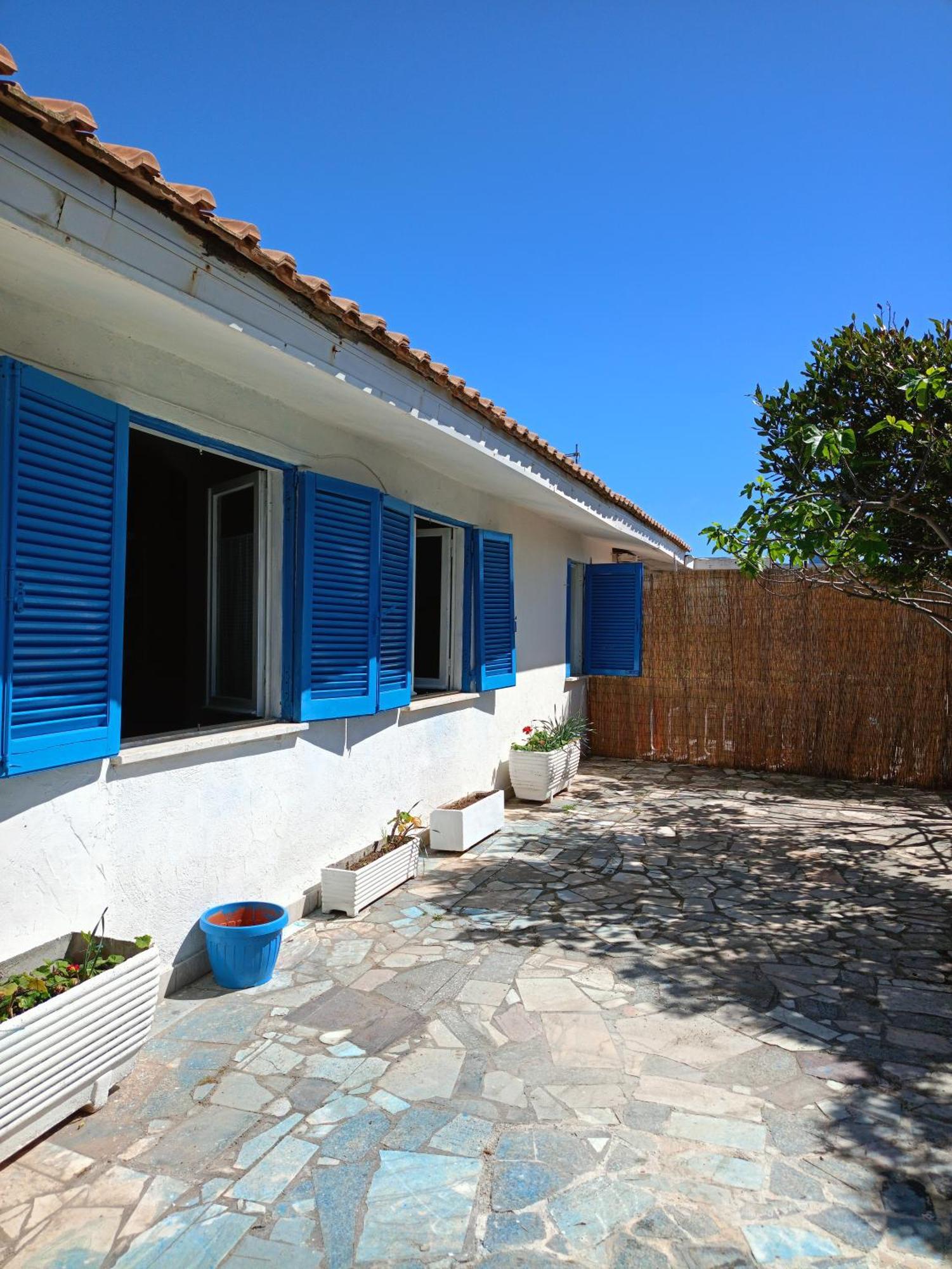 Blu Angel Apartment Lido dei Pini Bagian luar foto